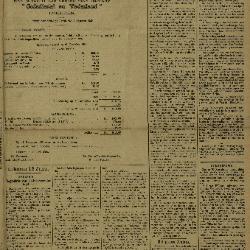 Gazette van Lokeren 13/01/1895