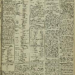 Gazette van Lokeren 08/06/1884